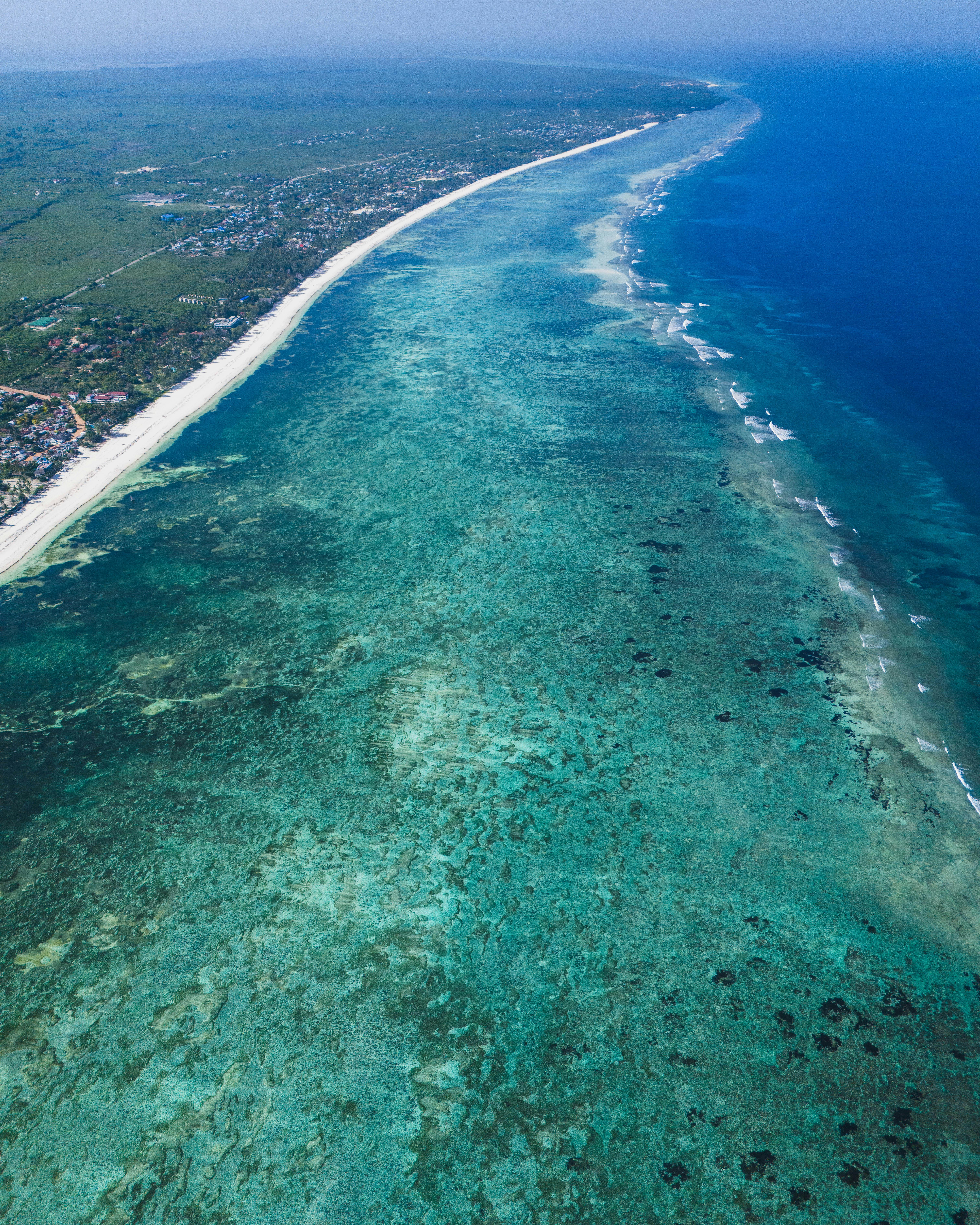 Ocean & Island