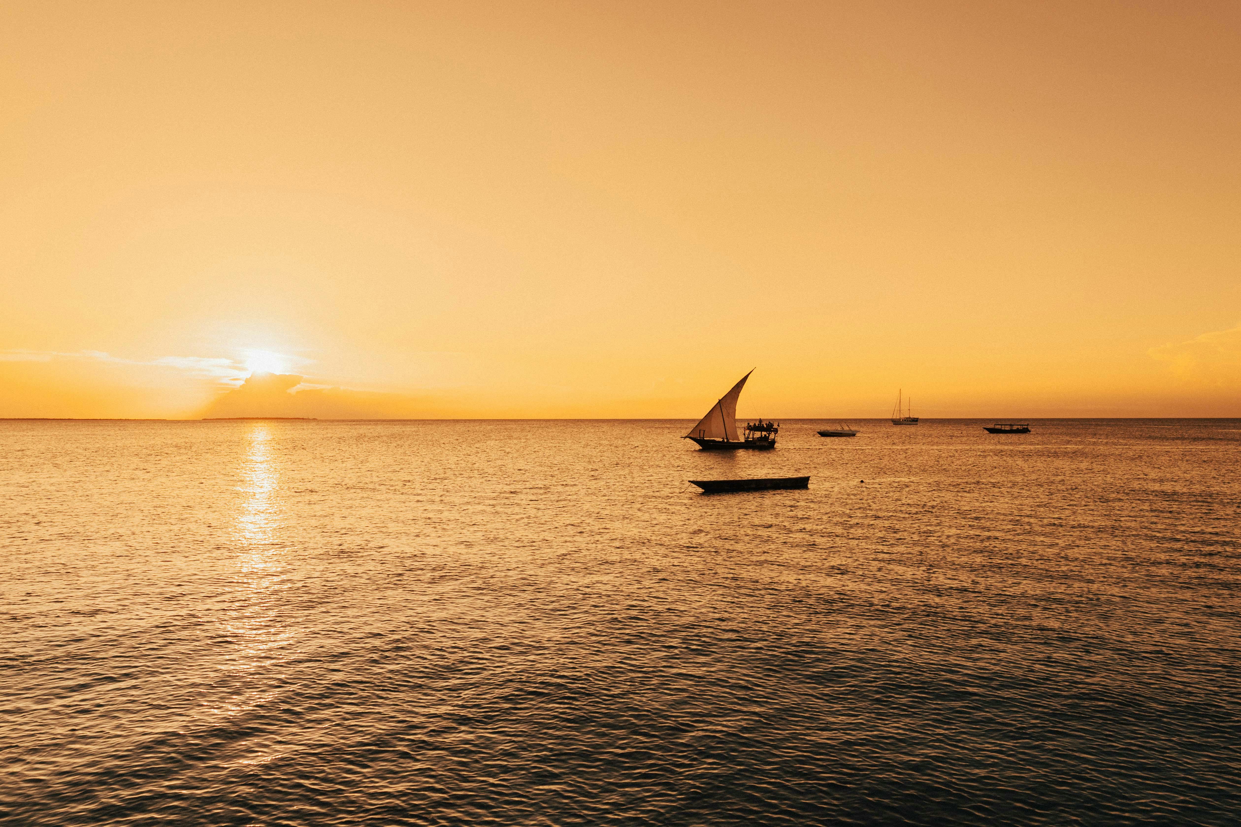 Dhow Sunset Cruise